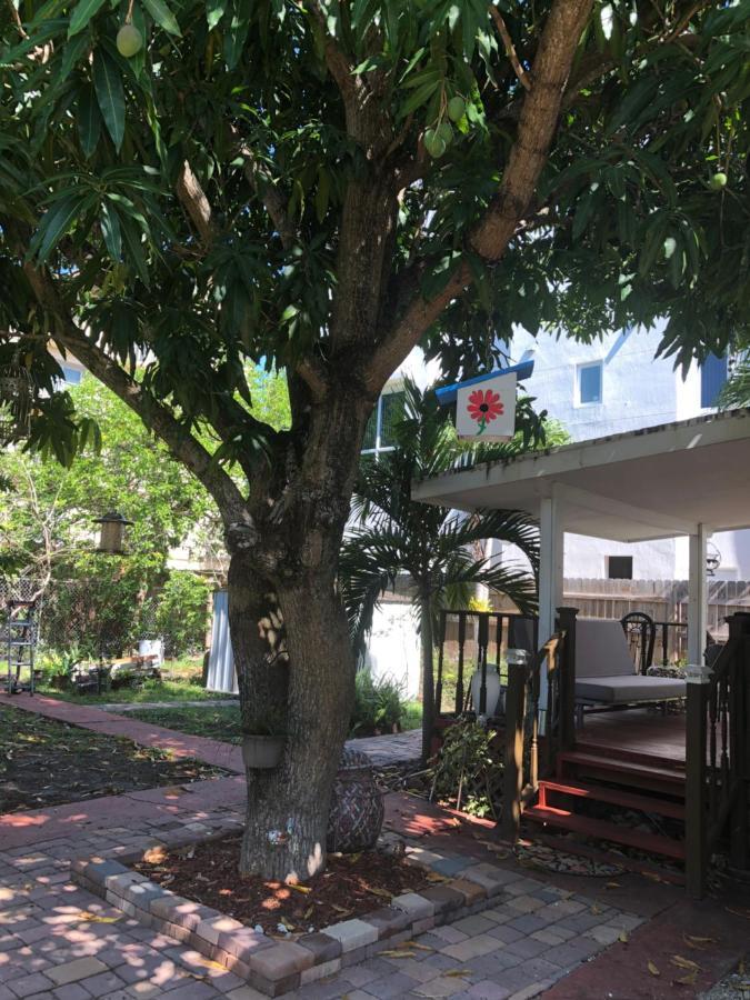 Cozy Room In The Heart Of Little Havana Miami Exterior foto
